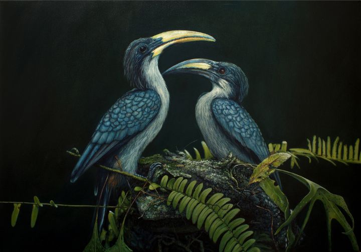 PAIRED - Sri Lankan Grey Hornbills ( - Chami's Art