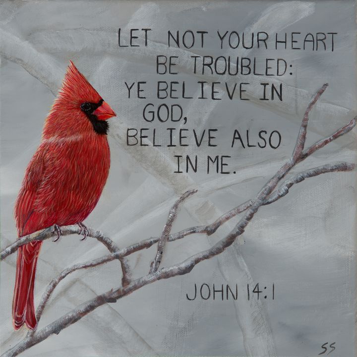 Cardinal John 14:1 - Susan Sawyer