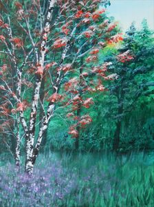 Lone Birch in the Forest - Judy Horan