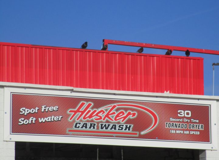Husker Car Wash Ward Love's Red Bear Gallery Photography, Places