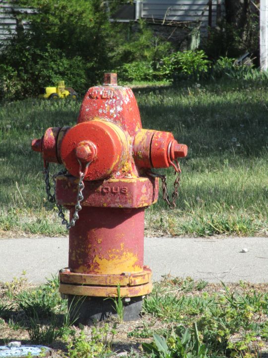 Fire Hydrant #8 - Ward Love's Red Bear Gallery - Photography, Places ...