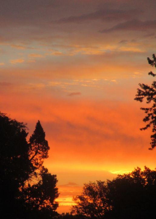 Nebraska Morning #3 - Ward Love’s Red Bear Gallery - Photography