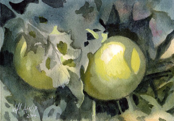 Green Tomatoes - Jeff Atnip Art