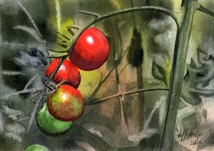 Cherry Tomatoes - Jeff Atnip Art