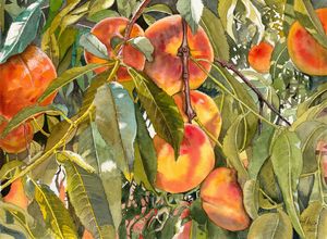 Orchard Gold - Jeff Atnip Art