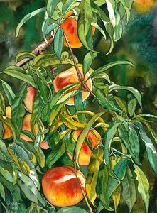 Peaches - Jeff Atnip Art