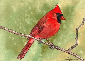 Some Kind Of Red Bird