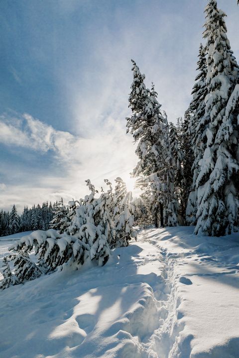 Snowshoe Trail To The Sun - Studio 623 Photography - Photography ...