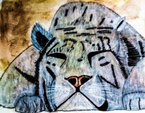 Lioness