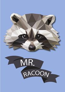 Mr.Racoon