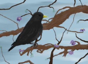 Blackbird in a Tree - TH Designs - Digital Art, Animals, Birds