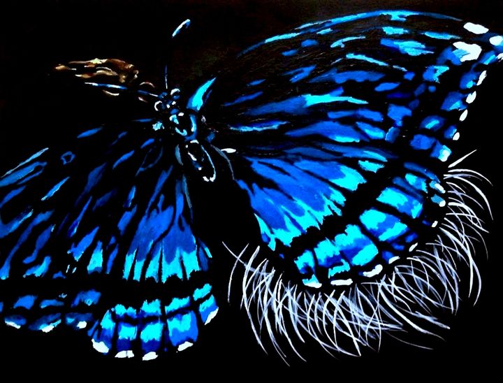 Blue Butterfly - Marissa Danylik - Paintings & Prints, Animals, Birds, &  Fish, Bugs & Insects, Butterflies & Moths - ArtPal