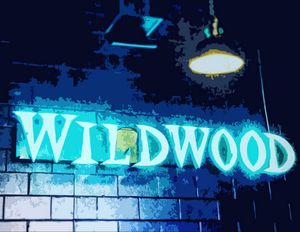 Wildwood in Neon