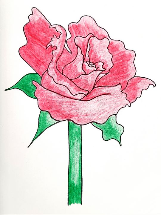 Rose - 3a - Art by MJ - Drawings & Illustration, Flowers, Plants ...