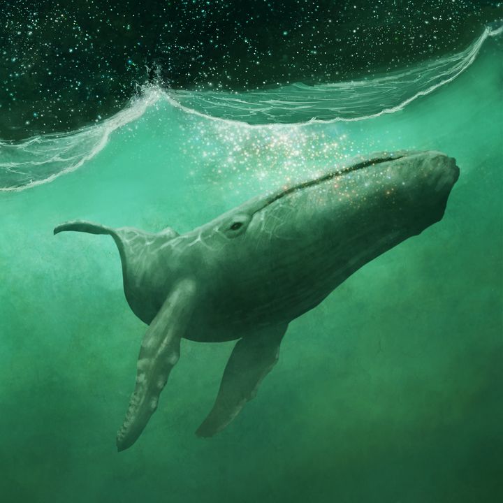 The Whale - LeaheyArt
