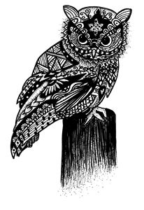 Perching Owl - Kelly Atkinson Artistry