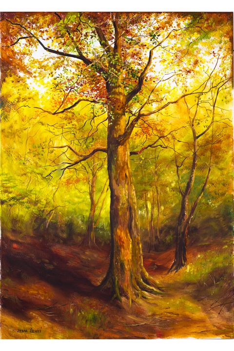 Autumn tree - Karolina Cechova Prints