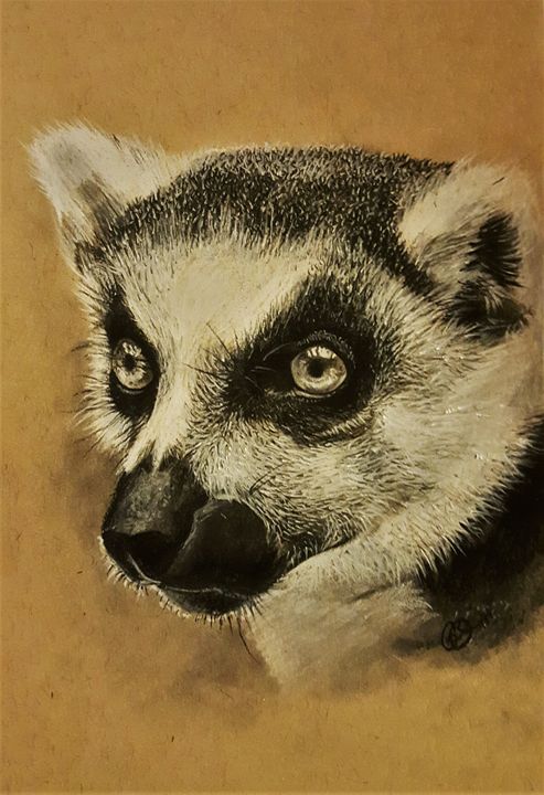 pencil-art-macacos-09  Animal portraits art, Monkey art, Pencil drawings  of animals