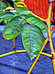 Nature spark