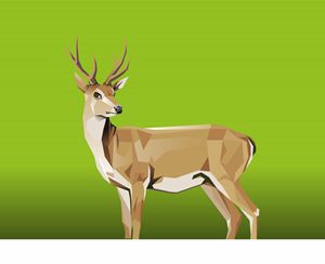 Deer with green Background
