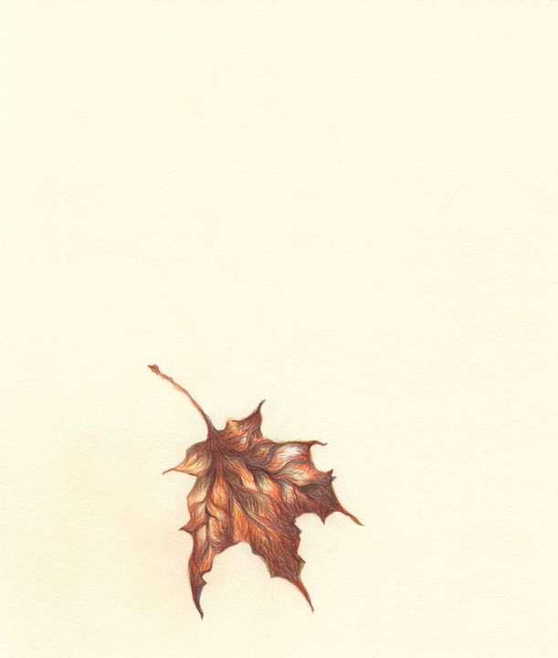 Falling Leaf 3 - M Joseph