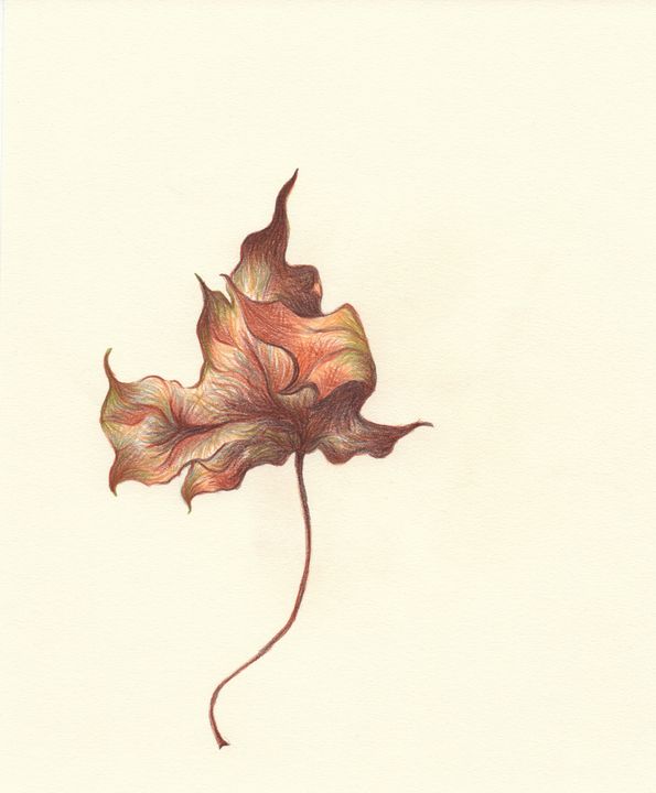 Falling Leaf 2 - M Joseph