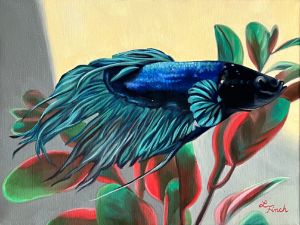 Blue Beta Fish - Lindsey Finch Art