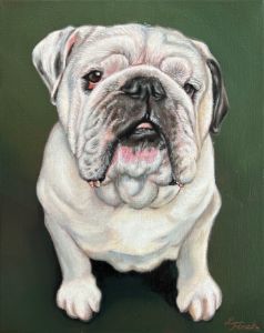 Bulldog - Lindsey Finch Art