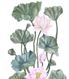 Lotus Flower Bud - Siipainting.com - Paintings & Prints, Flowers, Plants, &  Trees, Flowers, Flowers I-Z, Lotus - ArtPal