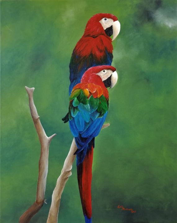 Parrots - Emily Richards