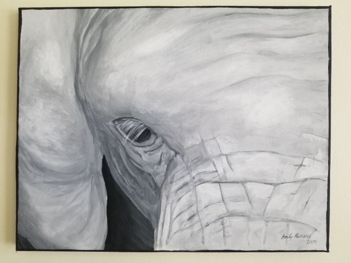 Elephant Close Up - Emily Richards