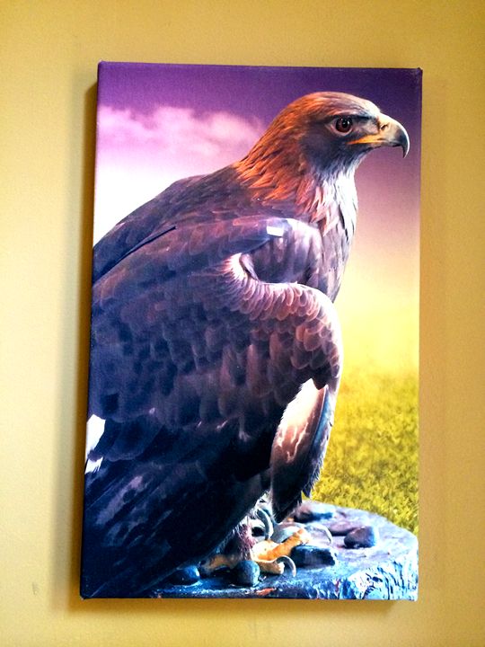 A Golden Eagle Chameleon Canvas Art Paintings Prints