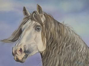 White horse