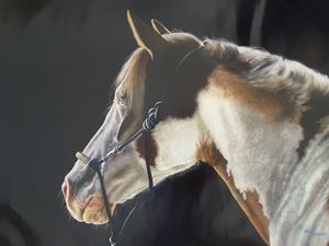 Horse Brown and White
