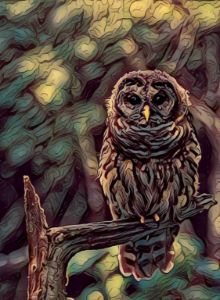 Owl Sitting On A Tree Branch Artwork