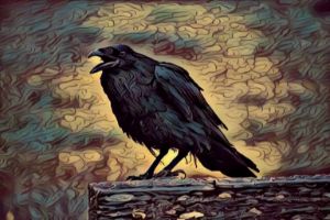 Black Crow Digital Artwork Drawing P