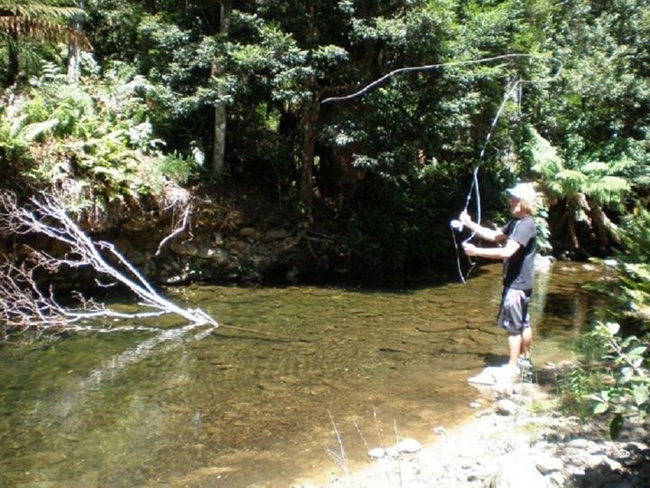 Fishing in the Liffey River, Tasmani - Kevinfrancisbell - Photography ...