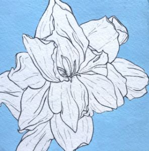 Gardenia