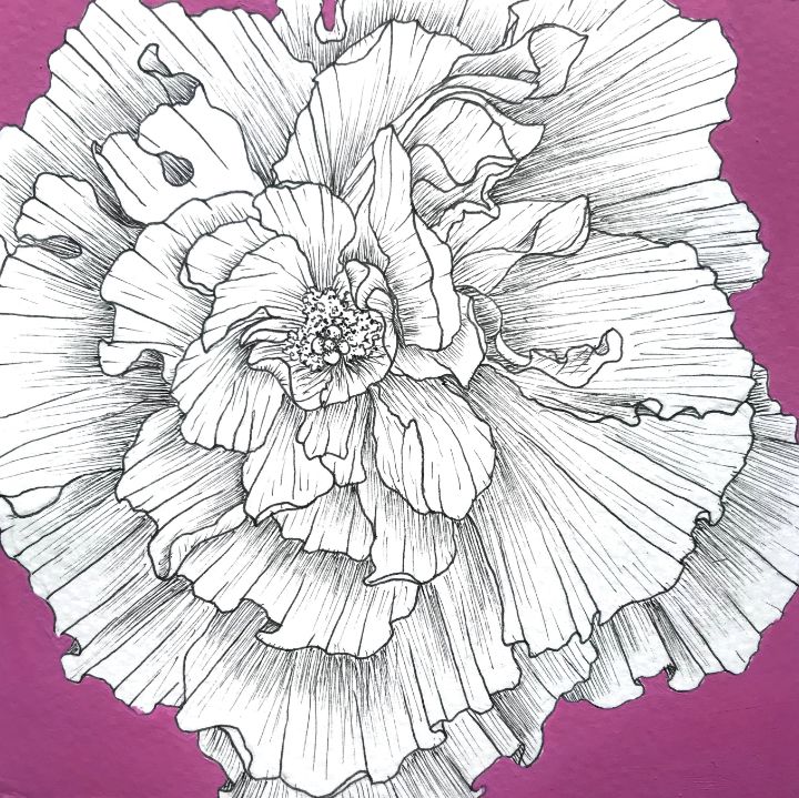 Flower Sketch Stock Illustration - Download Image Now - Pen And Ink, Vine -  Plant, Black And White - iStock