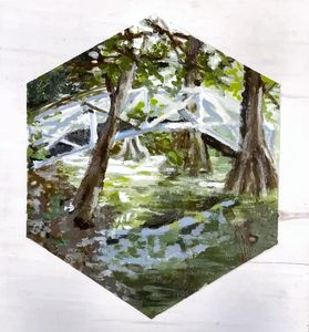 South Carolina Swamp