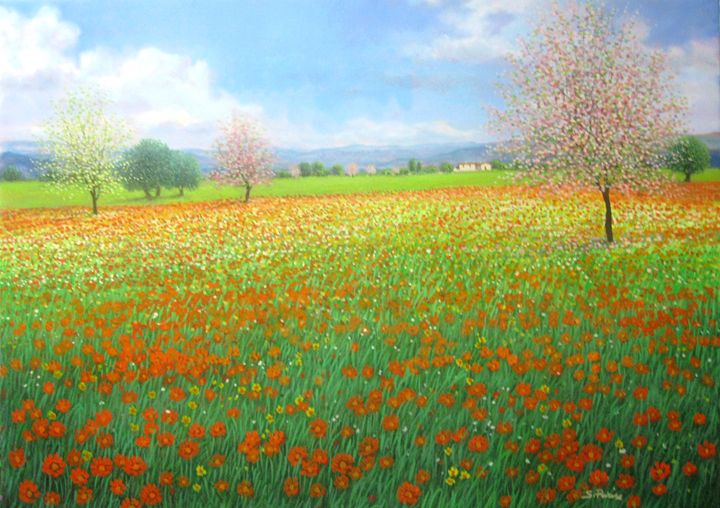 Field of flowers - Sandro Parise