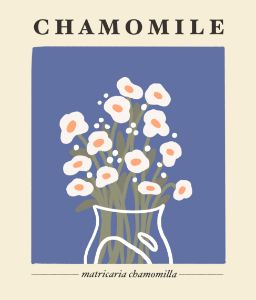 Camomile Bouquet Botanical Print