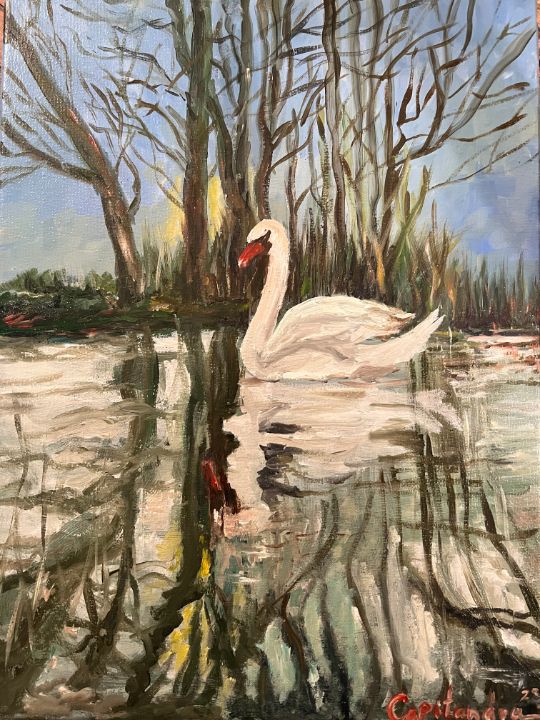 Lonely swan - MEMORIES