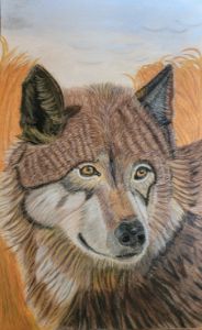 Wolf in Wheat