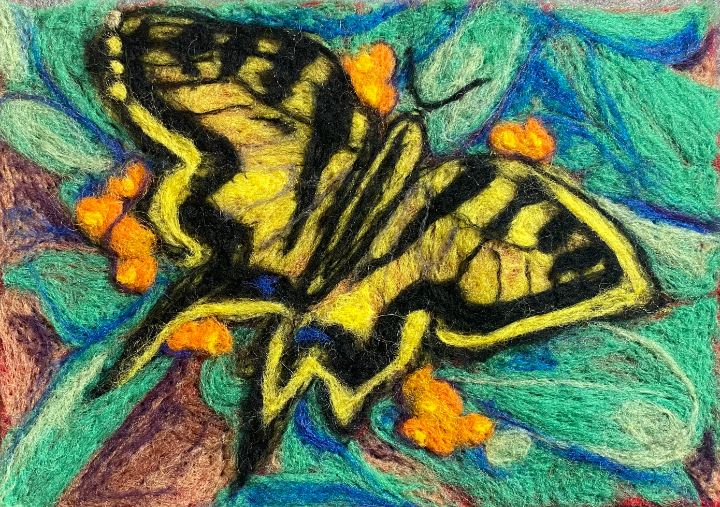 Butterfly - Susan Hess