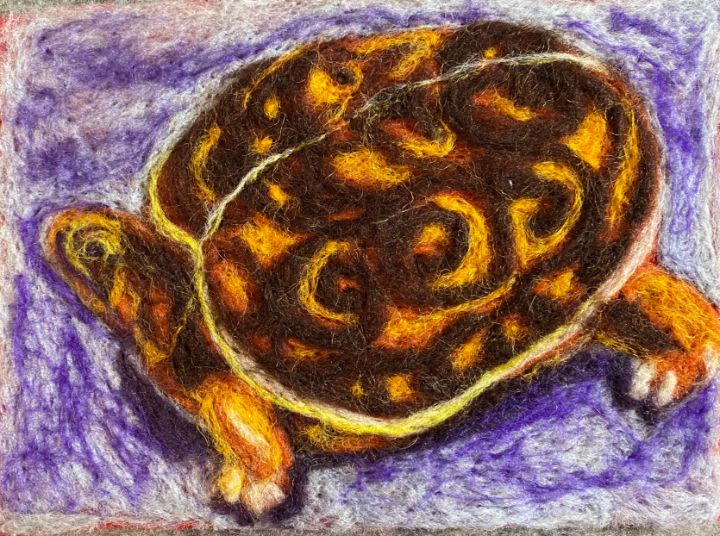 Turtle - Susan Hess