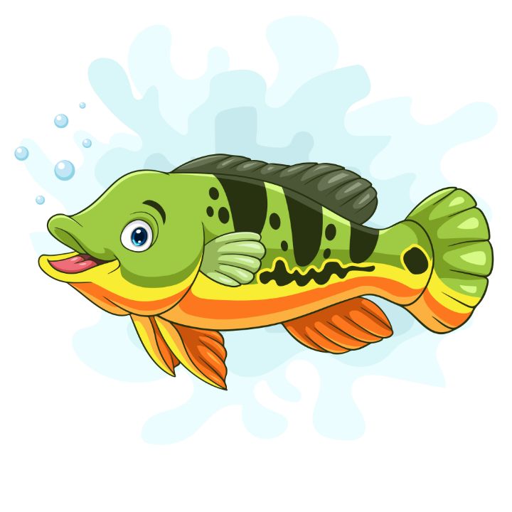 Cute Bass Fish Animal Watercolor Childrens Print Stock