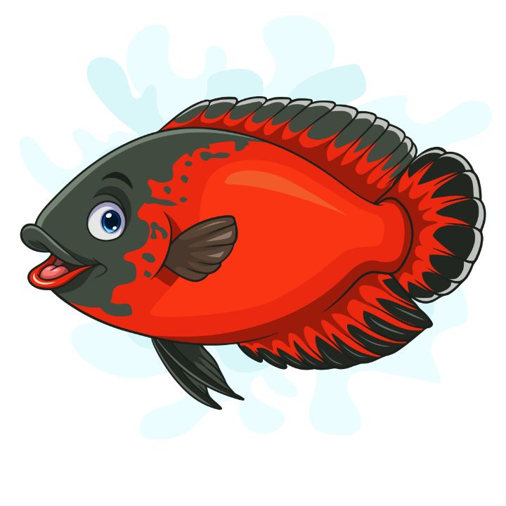 Cartoon Red Oscar paris fish - REYYARTS - Drawings & Illustration, Animals,  Birds, & Fish, Aquatic Life, Fish, Freshwater Fish - ArtPal