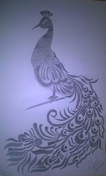 peacock drawing in pencil