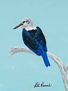 Blue and White Kingfisher